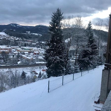 Lambach Villa Appartament 2 Mürzzuschlag Exteriér fotografie